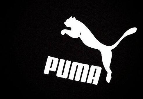 puma是什么牌子档次（puma彪马品牌介绍） 1