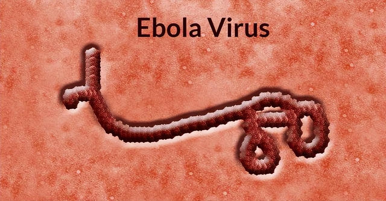 埃博拉病毒为什么突然消失（史上最强病毒埃博拉的来历） 1