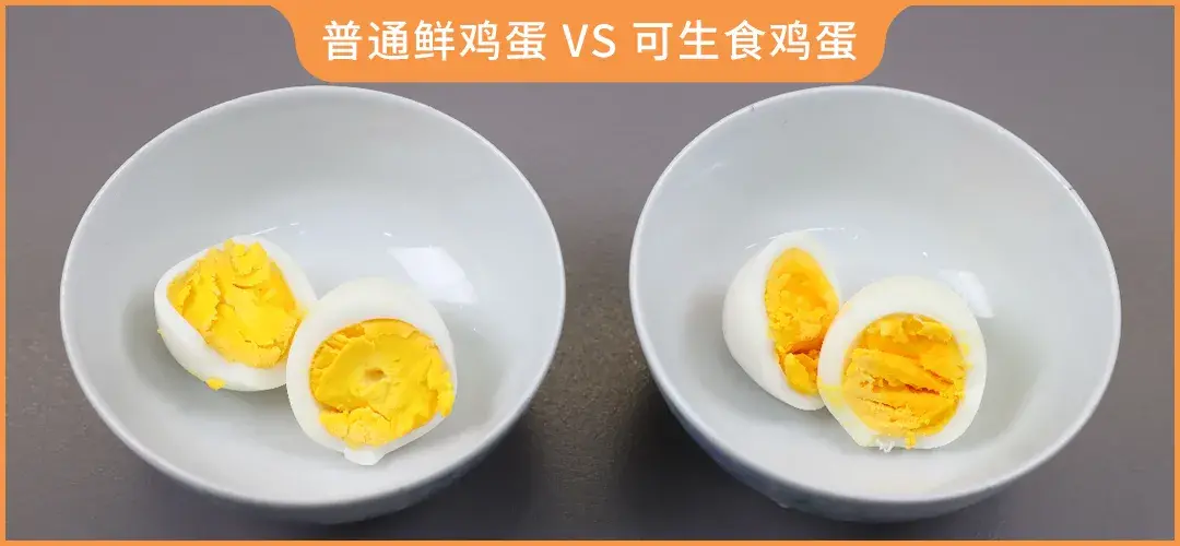 什么是可生食鸡蛋（生食鸡蛋的好处和坏处） 11