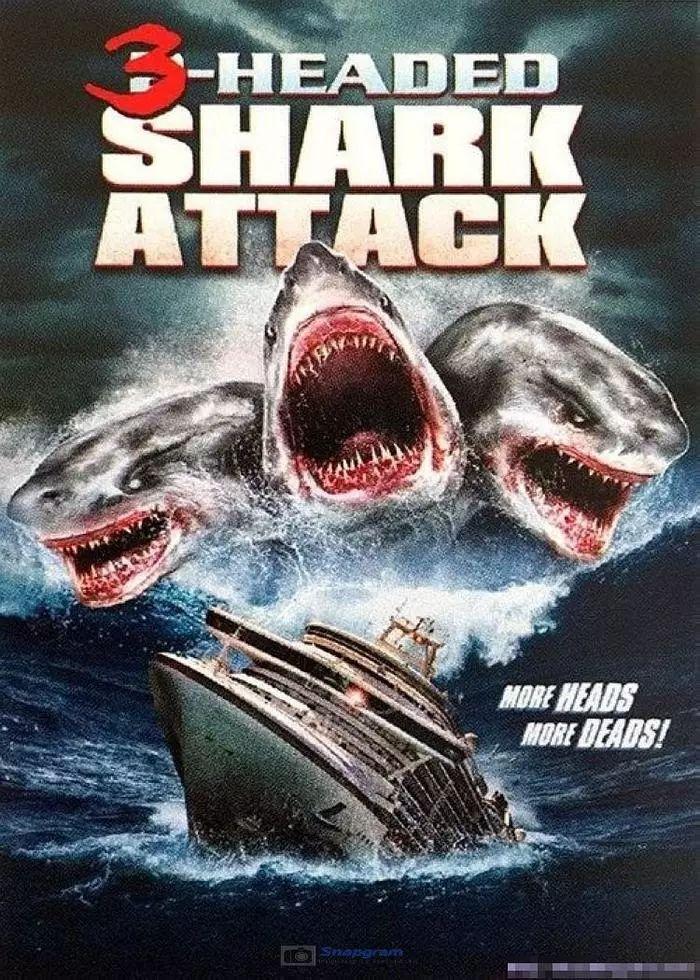 鲨鱼排名十大恐怖的电影（关于鲨鱼的恐怖电影大全） 13