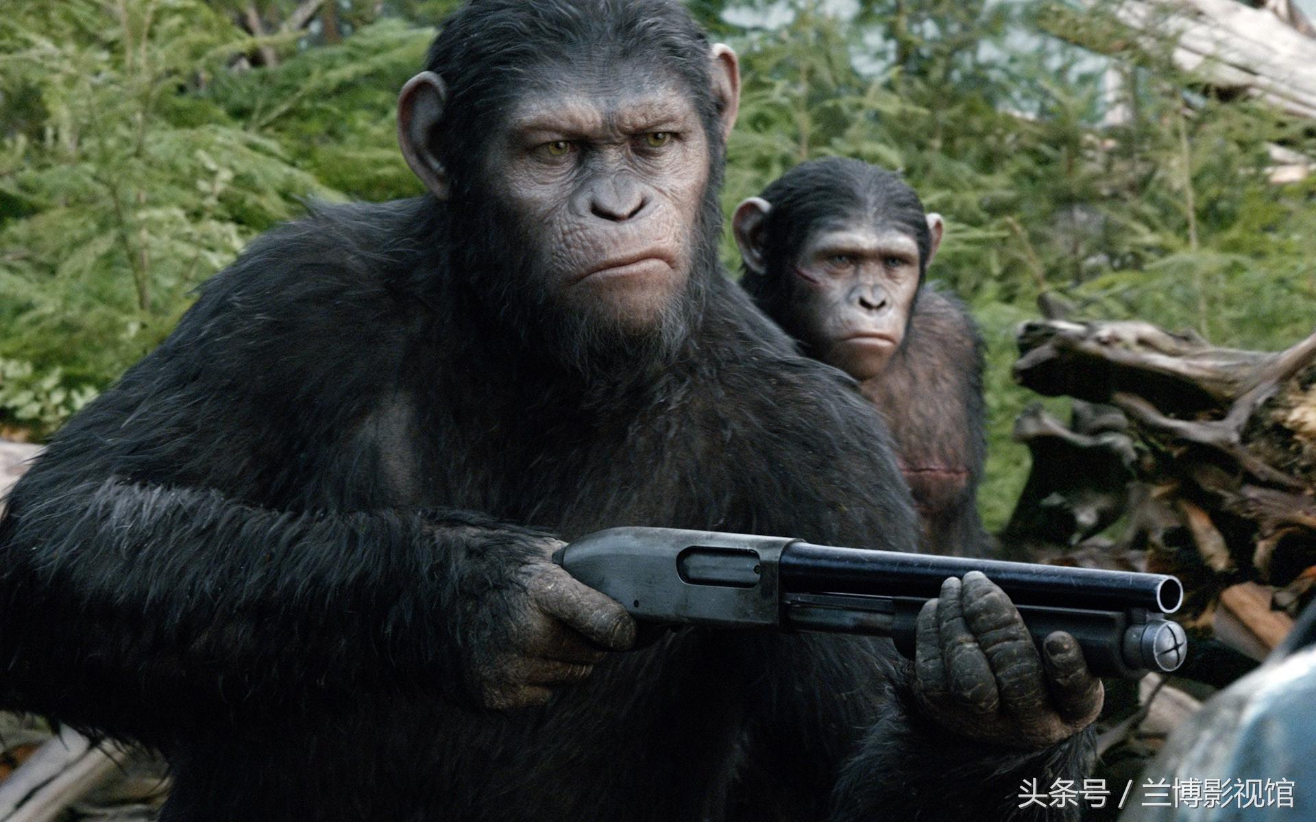 讲猩猩的电影有哪些（推荐八部关于猩猩的经典科幻大片） 13