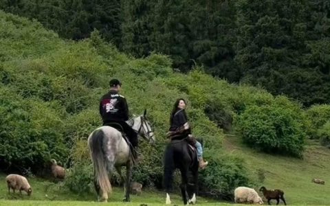 汪峰最新官方消息,汪峰森林北在新疆骑马