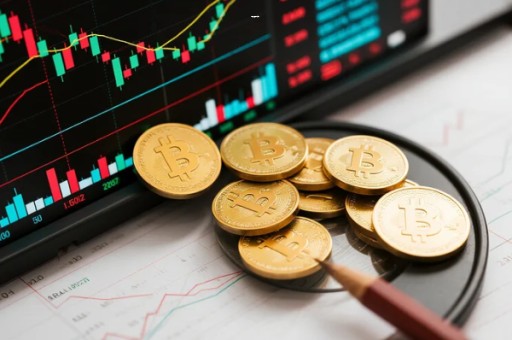 证券投资基本分析 证券投资基本分析